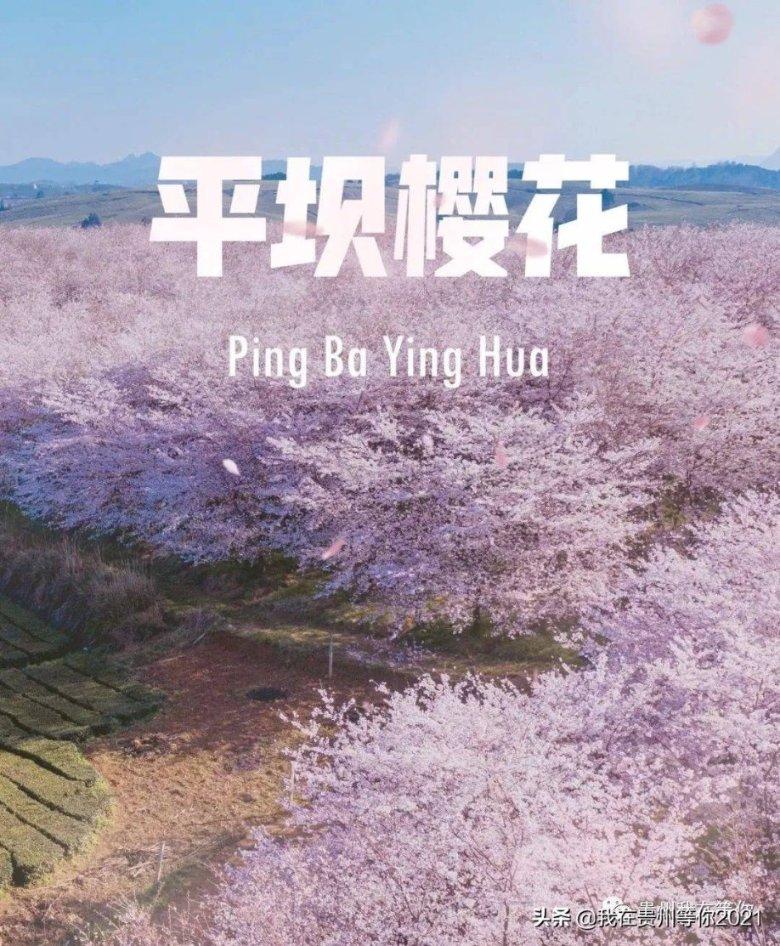 【心灵成长】增强正能量的50个方法，建议收藏！